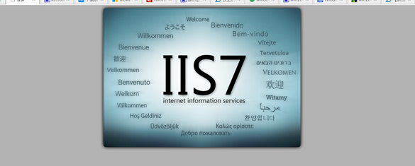 IIS7.png