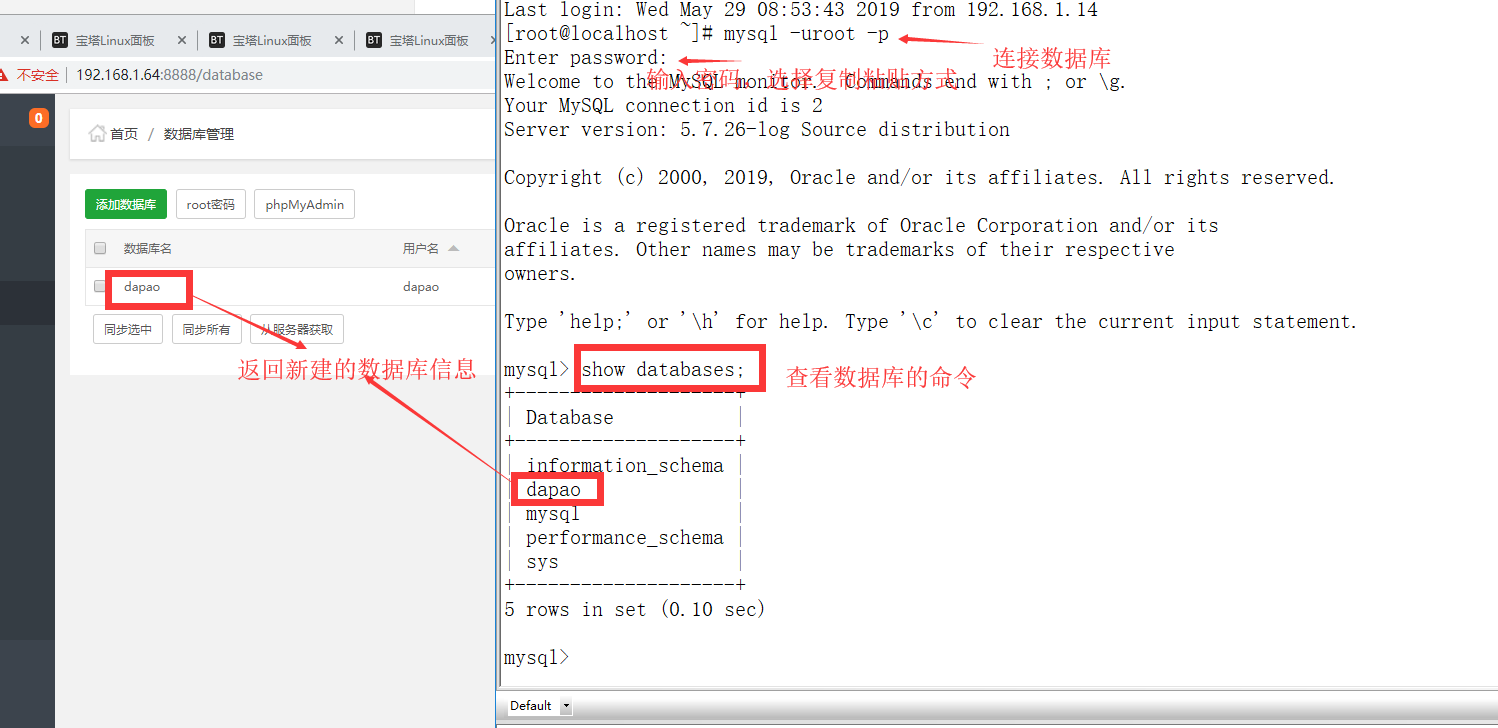 mysql查看数据库信息.png