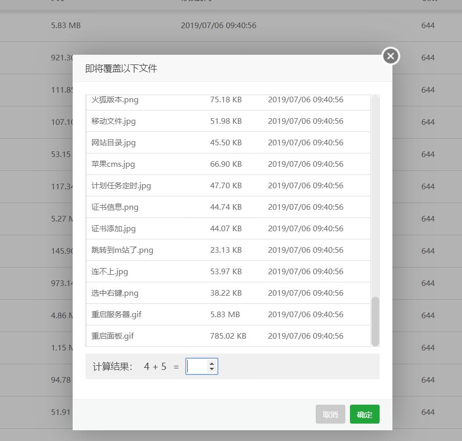 覆盖文件.jpg