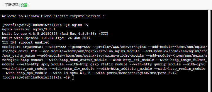 输入nginx -V后