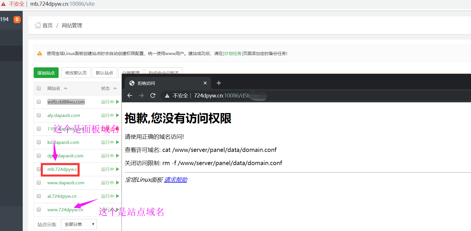 域名访问面板.png