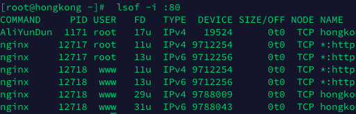 80端口ipv6有监听