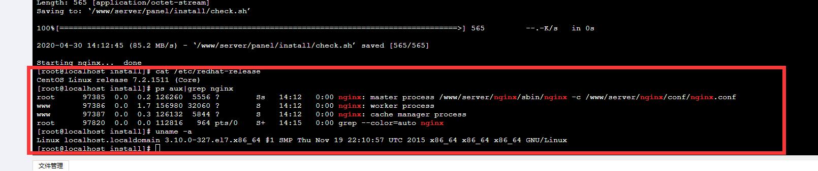 nginx.jpg