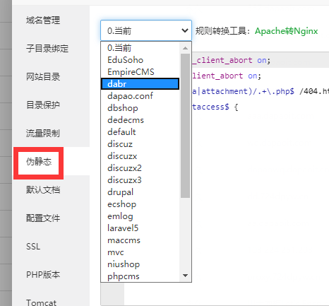 伪静态.png