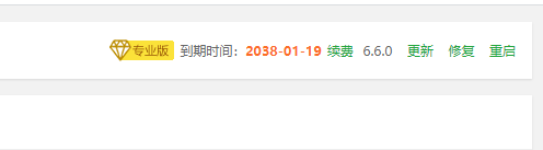 专业版2.png