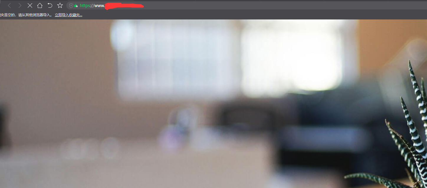 网站也并没有报404错误