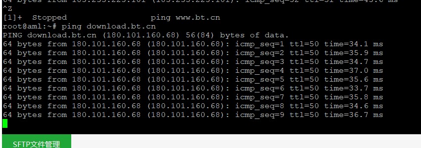 ping download.bt.cn.JPG