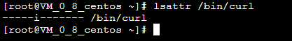 输入lsattr /bin/curl后显示