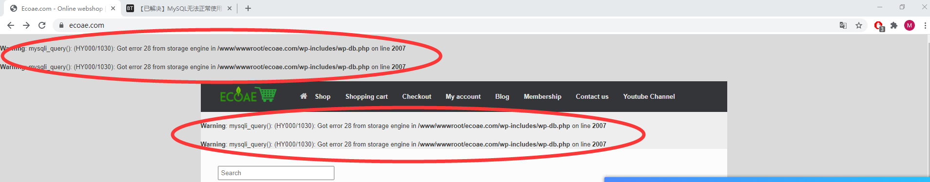 网站页头显示2行代码