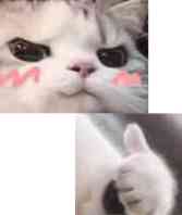 QQ图片20201213094534.jpg