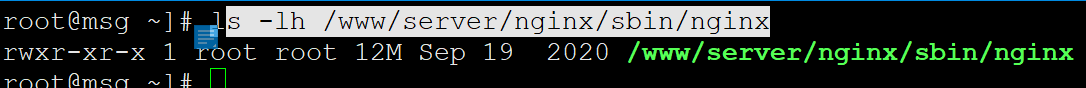 nginx启动文件.png