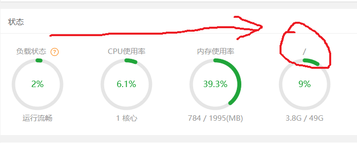 bug