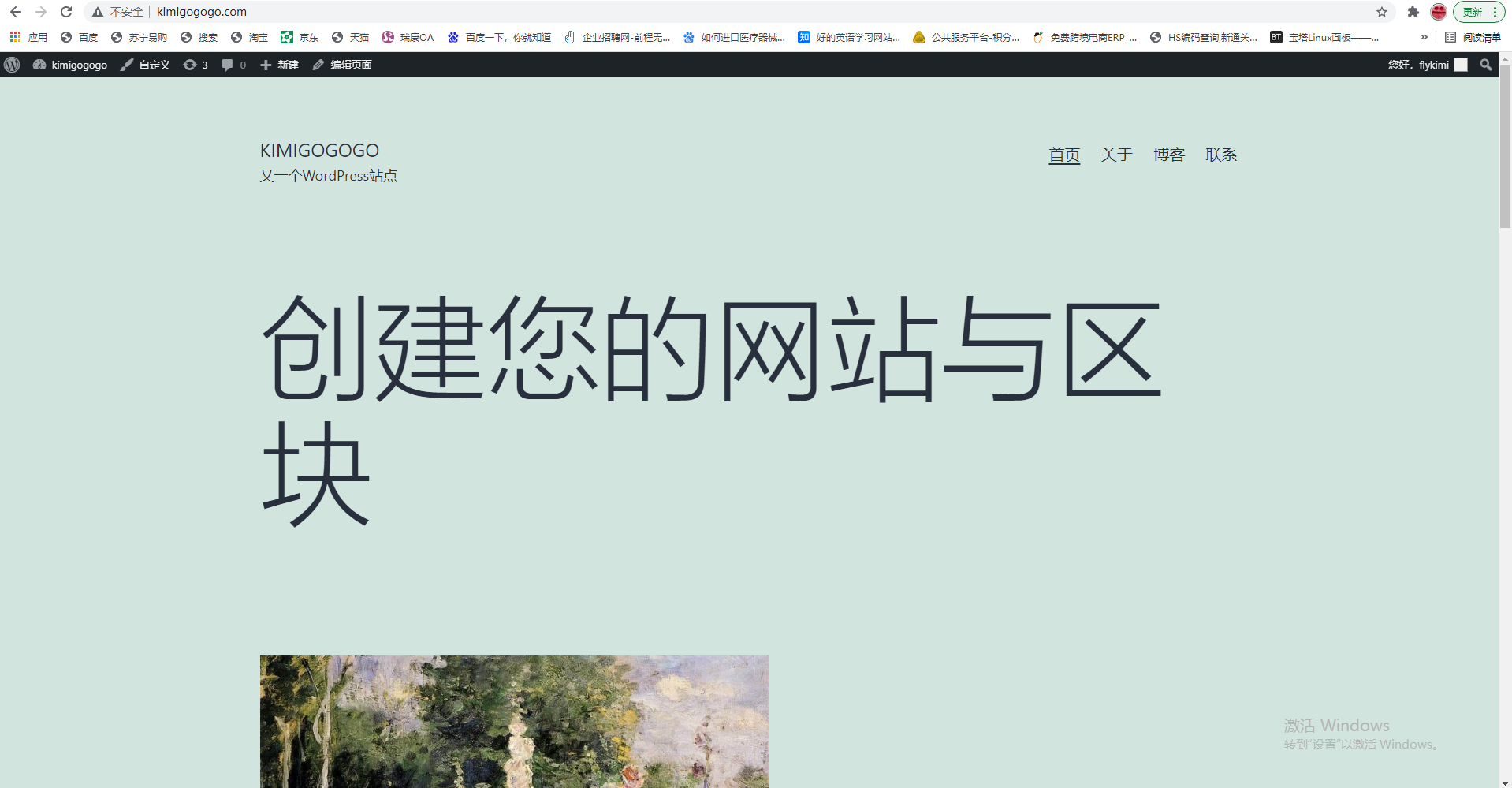 在Google浏览器输入http://kimigogogo.com/的显示界面
