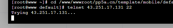 telent2.png