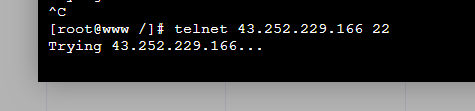 telnet1.png