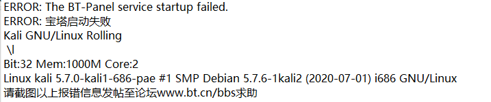显示宝塔启动失败