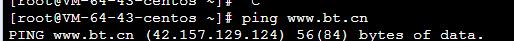 ping.jpg