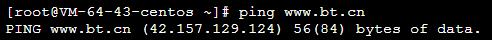 ping.jpg