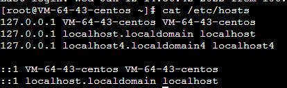 cat1.jpg
