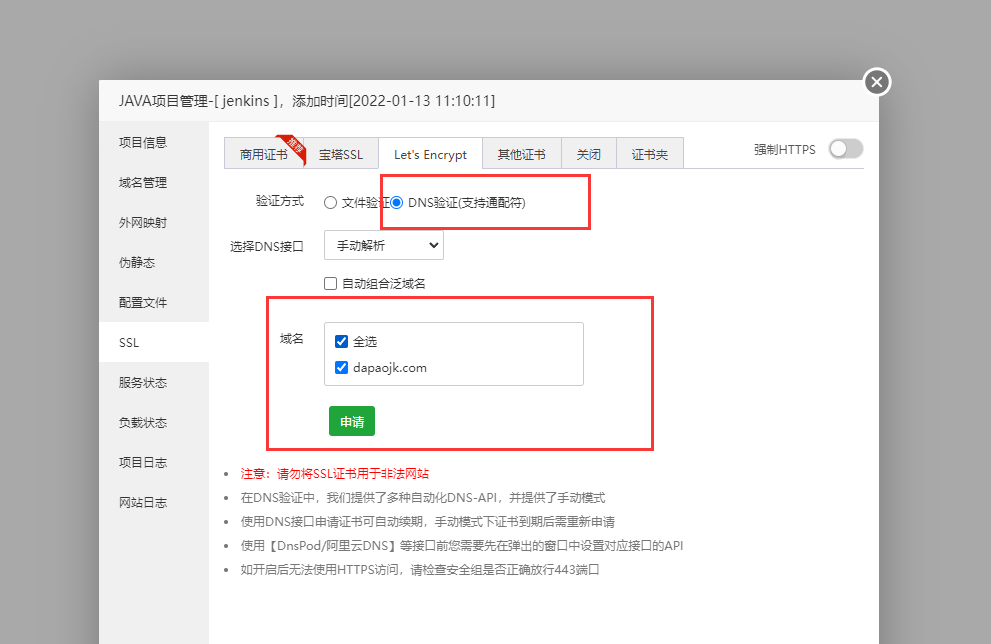 DNS验证.png