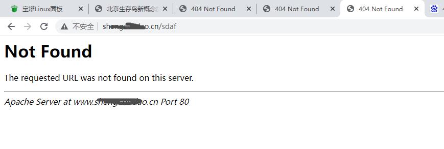 我的404打开是这样
