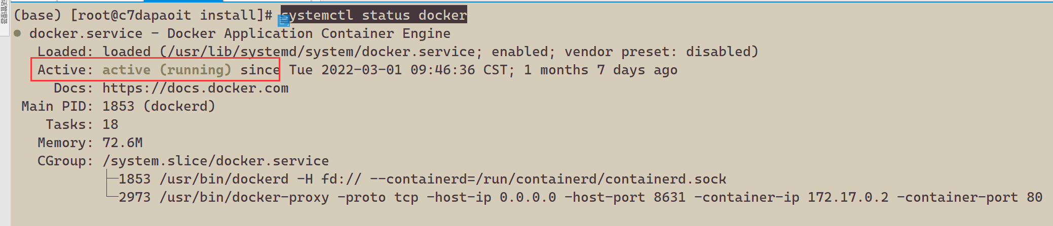 docker运行.png