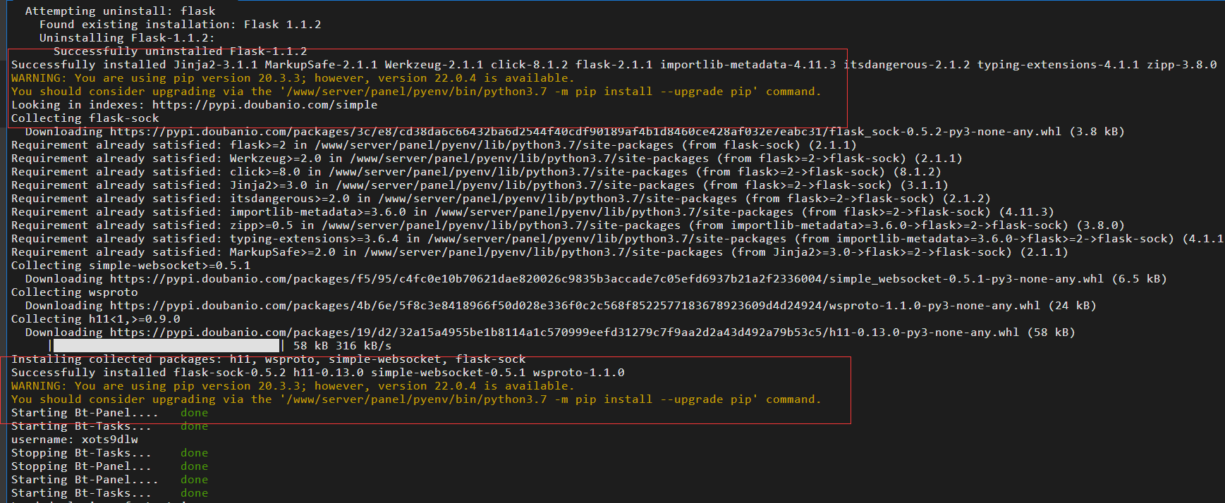 BTbug.png
