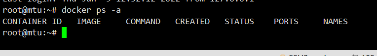 docker ps -a 无显示