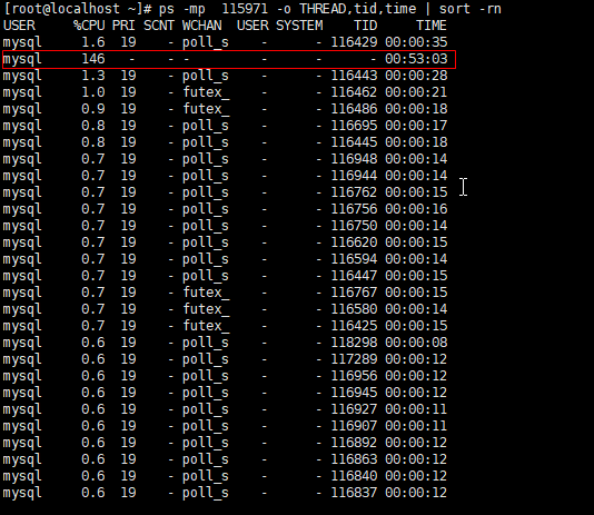 MySQL