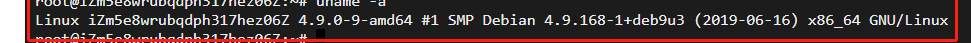 debian 服务器.png