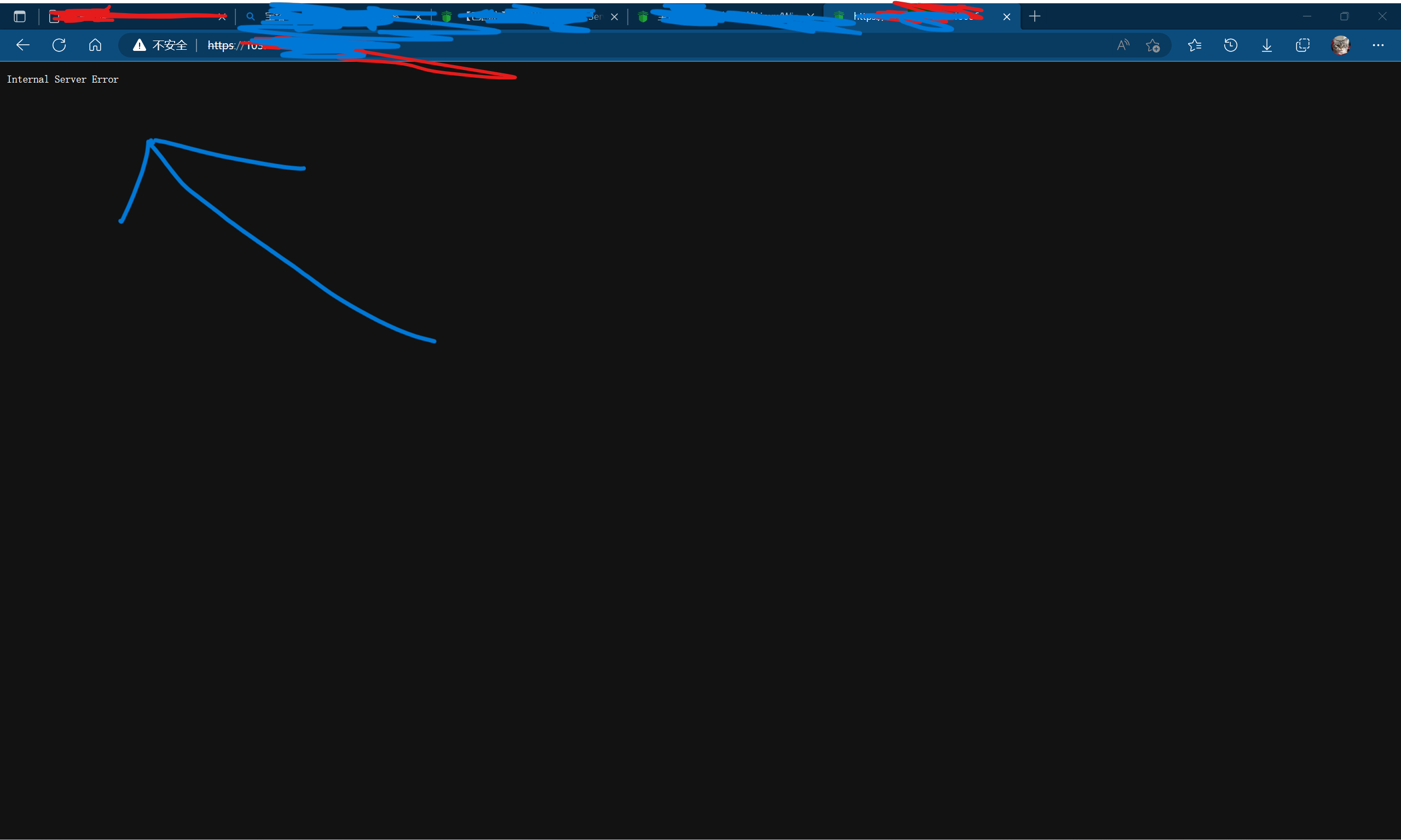 提示Internal Server Error截屏