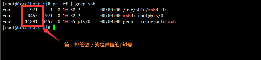 7.png