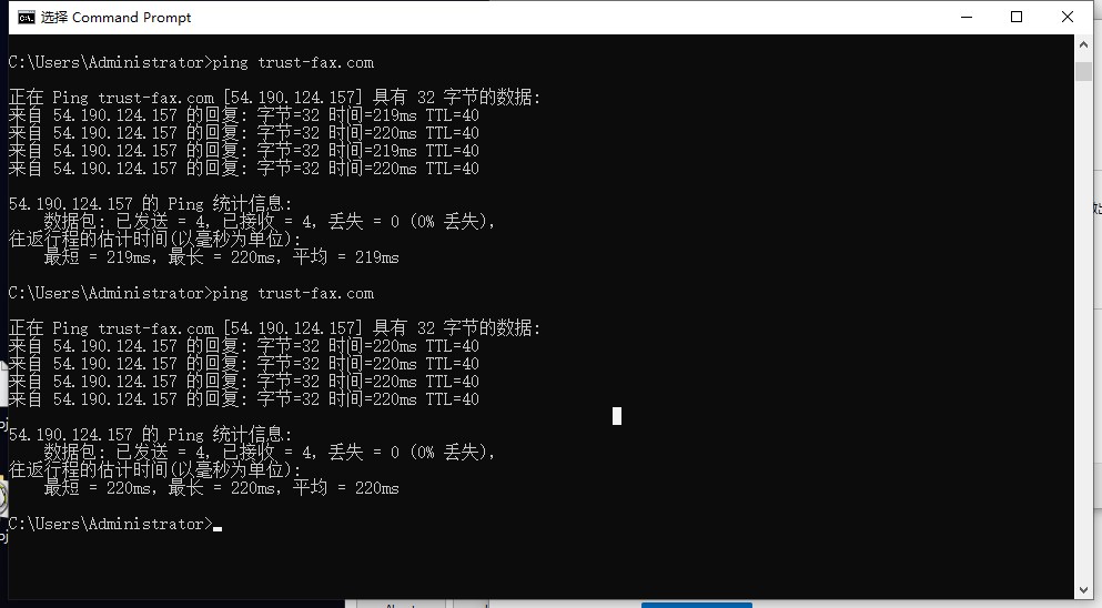 ping网站结果