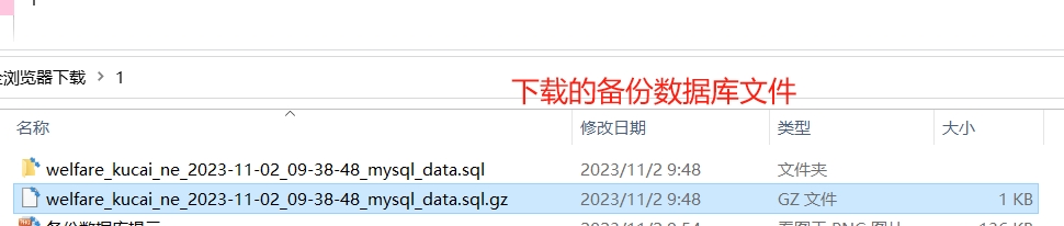 下载后的备份文件