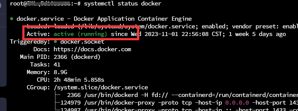 docker的运行状态.png