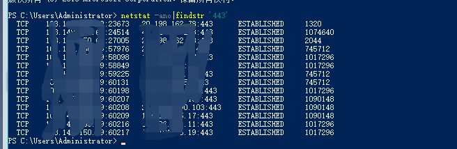 返回443信息.png
