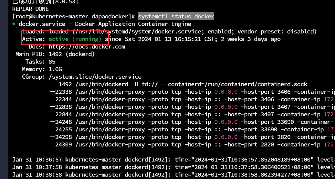 docker运行状态.png