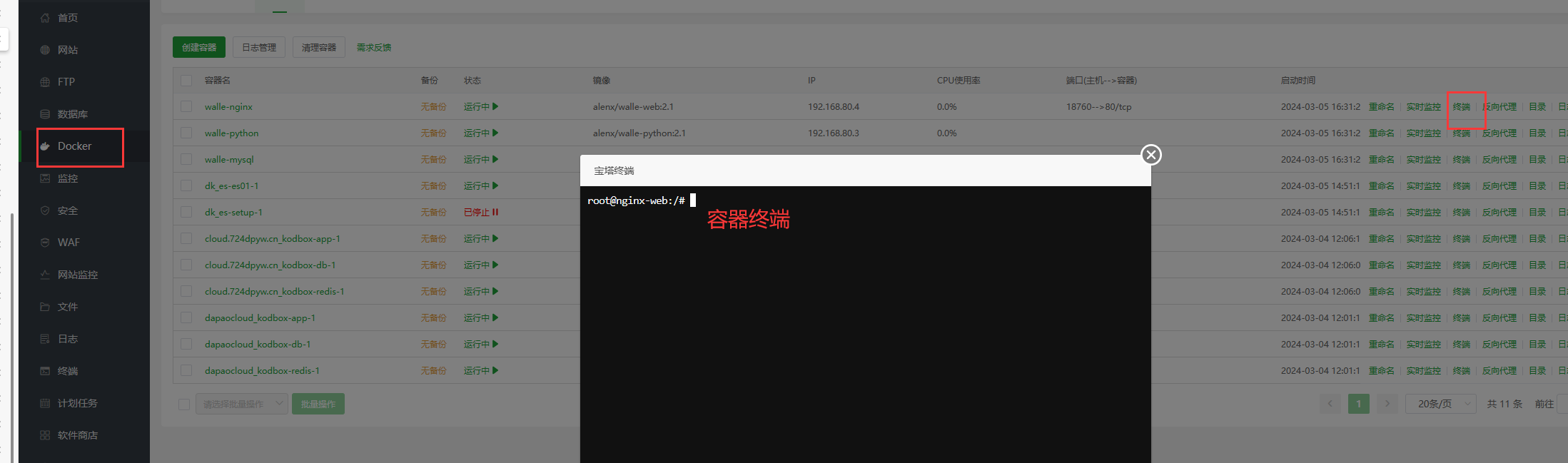 容器终端.png