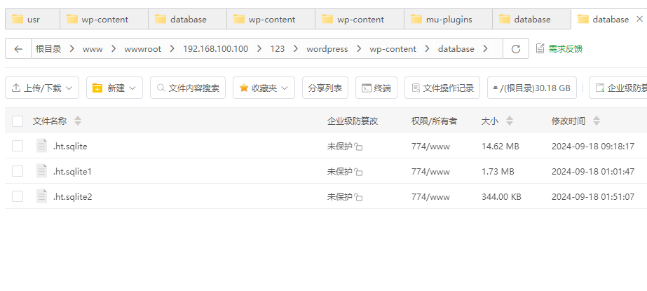 屏幕截图 2024-09-18 091854.png