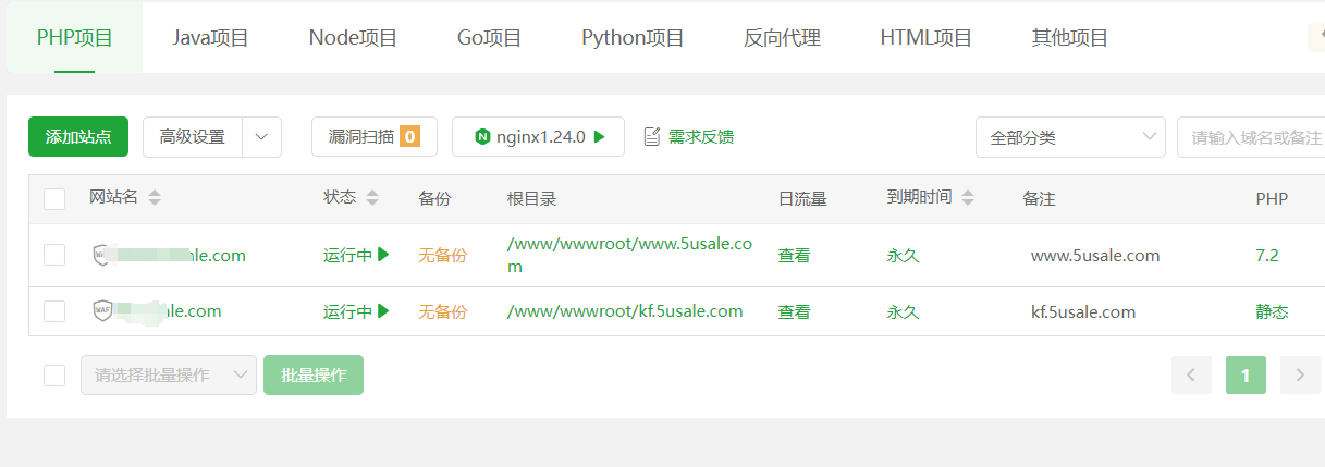面板显示网站运行