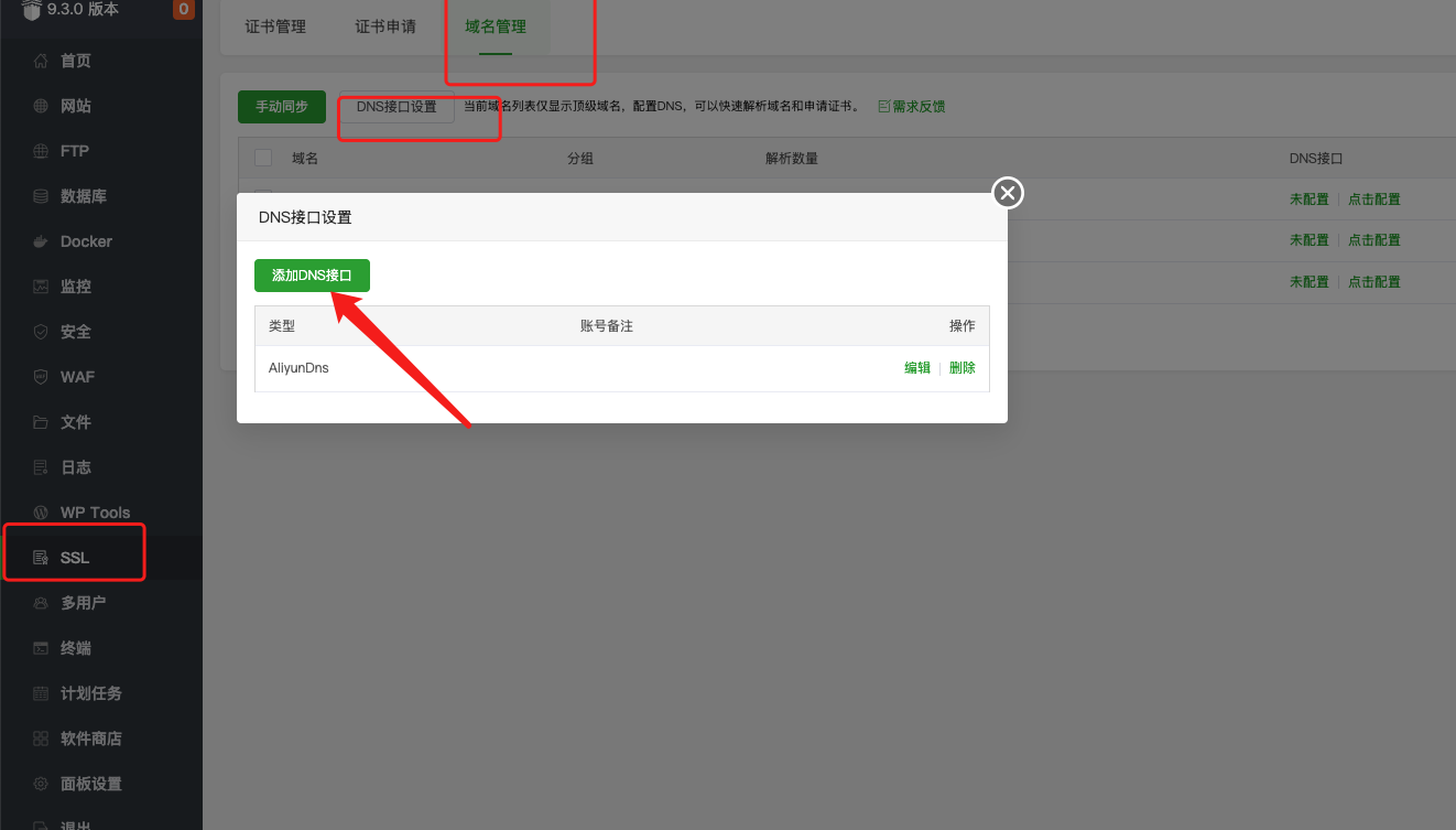 添加 DNS 接口.png