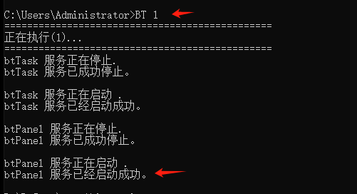 服务是正常启动了吧