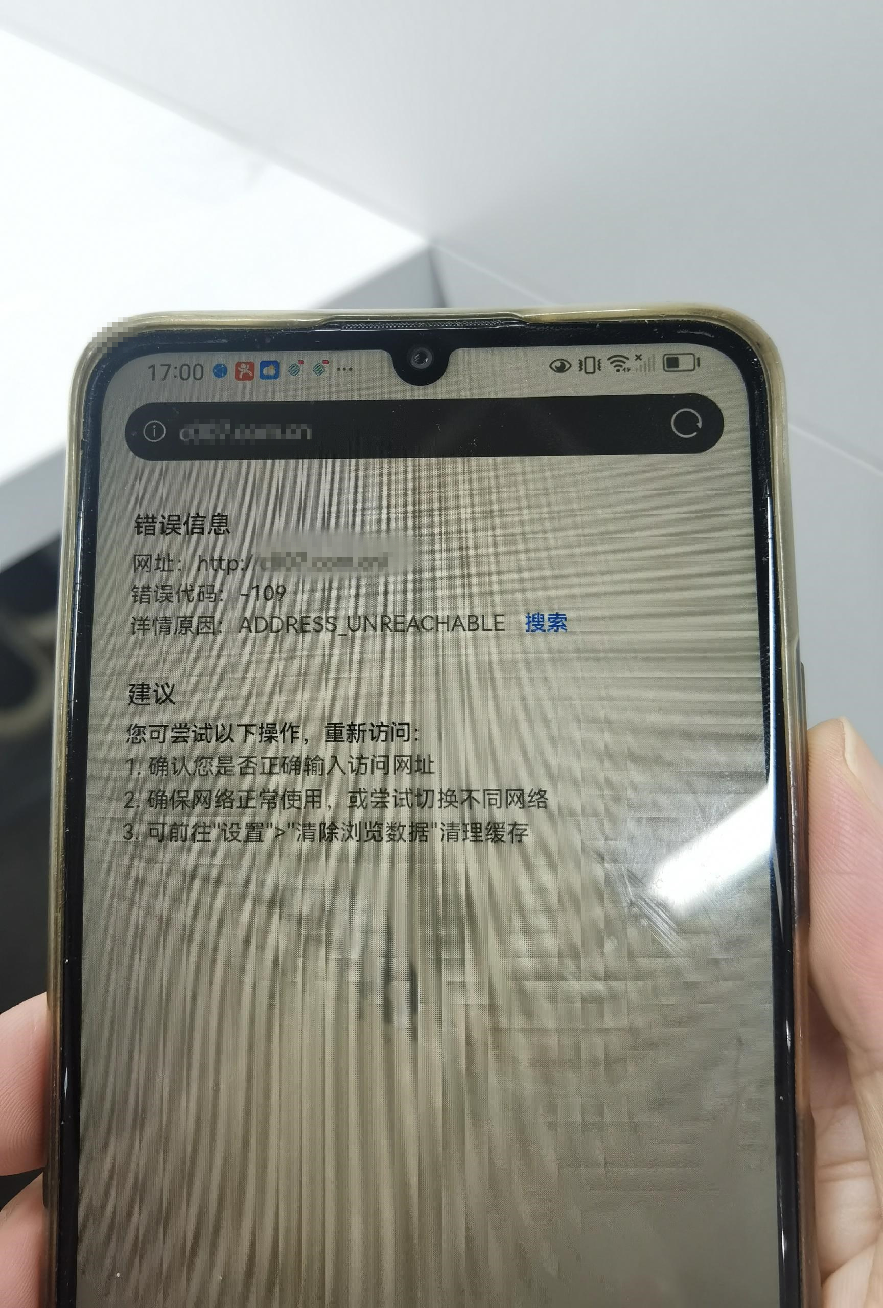 华为浏览器域名访问