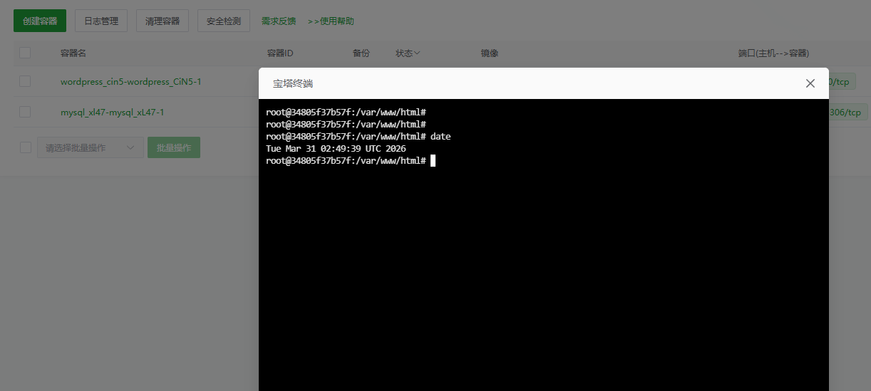 容器终端显示.png