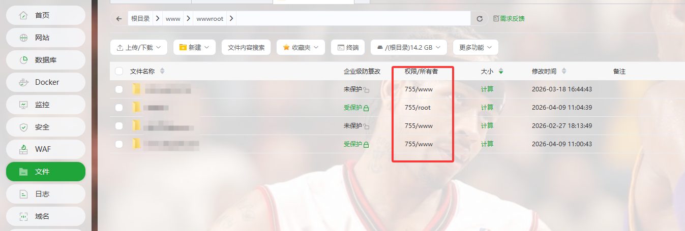 网站目录权限.png