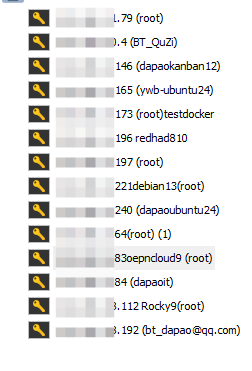 系统信息ssh.png